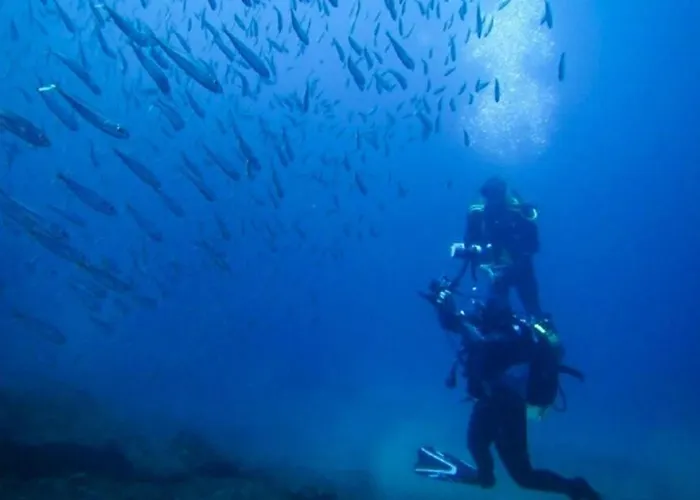 펜션 Silvia's House *