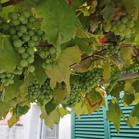 Silvia's House Dom wakacyjny