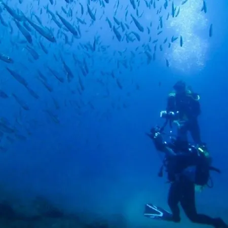 Casa vacanze Silvia's House *