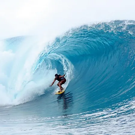 Silvia's House Casa vacanze *