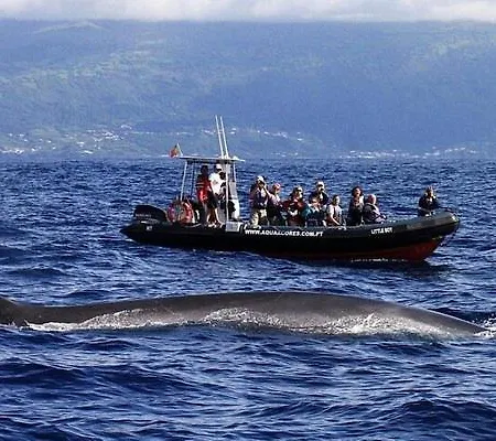 Silvia's House * Ponta Delgada