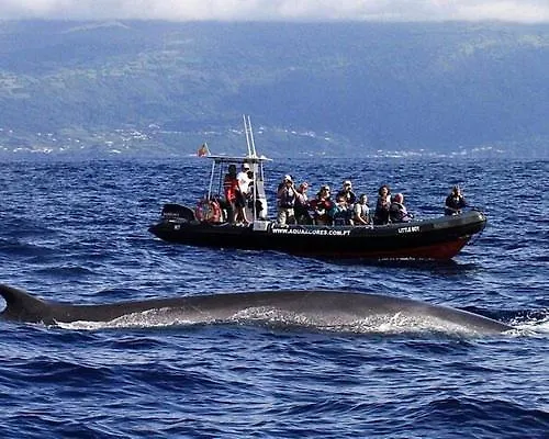 Silvia's House * Ponta Delgada